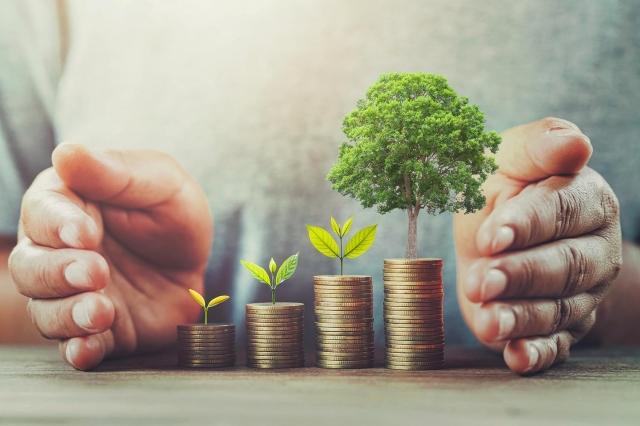 Practical Steps to Amplify Revenue for Local Businesses